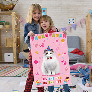 cat birthday party supplies