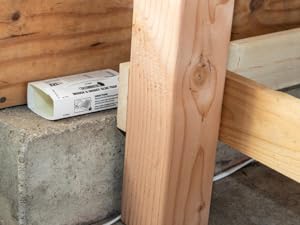 glue board