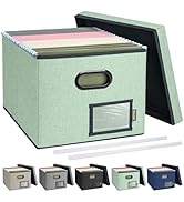 BALEINE File Organizer Box with Lid, Collapsible File Folder Organizer with Plastic Slide, Filing...