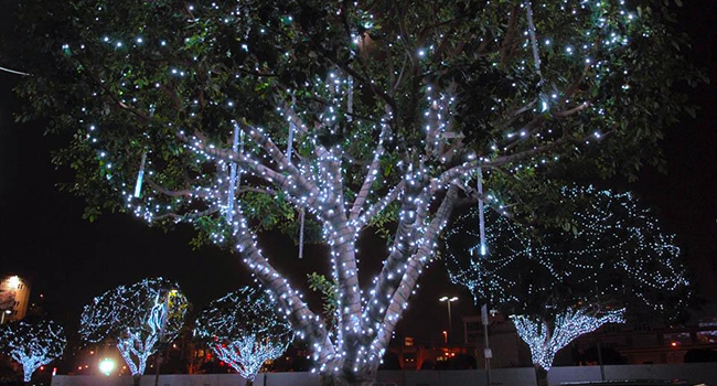 Outdoor String Lights