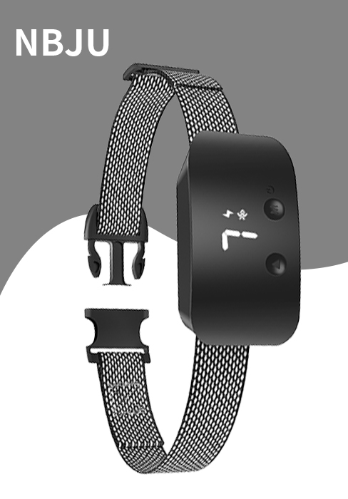 bark collars