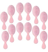 12 pcs Mini Hair Brush,Travel Detangling Brush with Exquisite Packaging Box,Mini Brush for Most H...