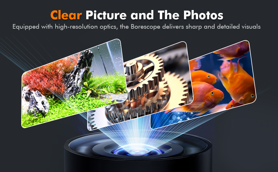 snake camera with light