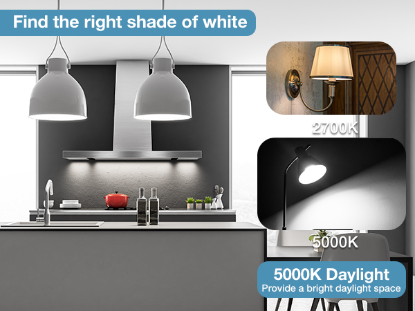 A19 LED Bulbs