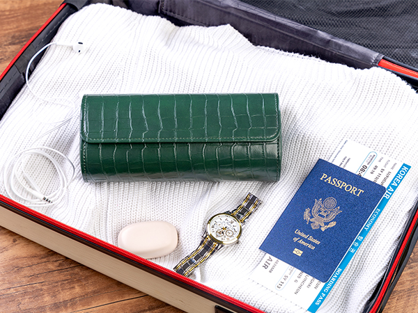 travel cases for 2 watches