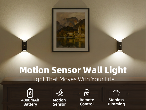 motion sensor wall light