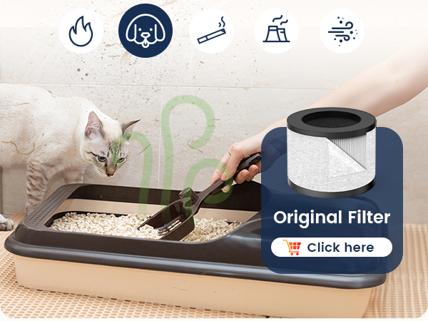 air purifier