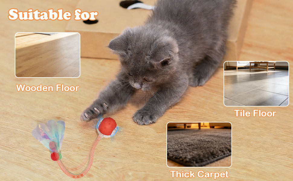 Durable Interactive Cat Toys for Indoor Cats