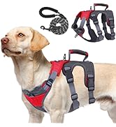 PUPTECK Escape Proof Dog Harness and Leash Set Upgraded No Pull Reflective Dog Vest with Lift Han...