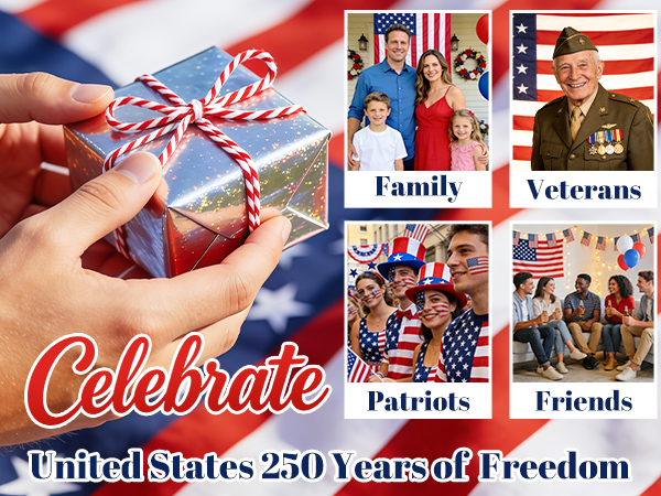 250 Anniversary USA Ornament