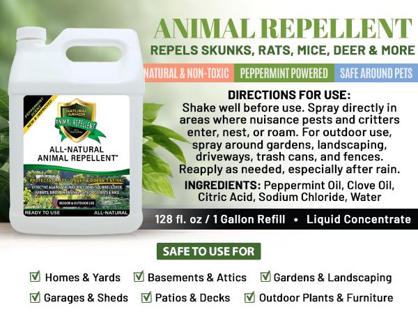 peppermint oil spray for bugs