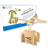 Make Your own Teranodon
