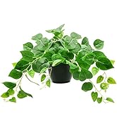 Tiita Fake Plants Artificial Scindapsus Aureus in Pots, Realistic Fake Greenery Potted Plants for...
