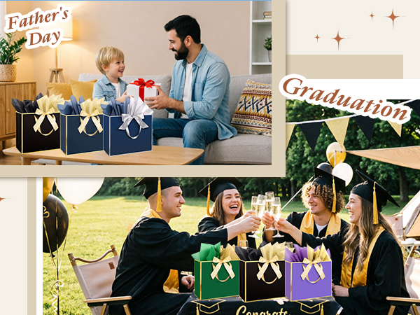 father day gift bag