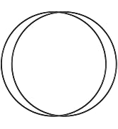 for Gamma2 Seal Replacement O-Ring (one Pair) for 9" lids (Pet Food containers) (Pack of 2)
