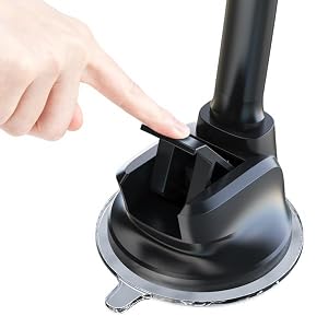 suction cup