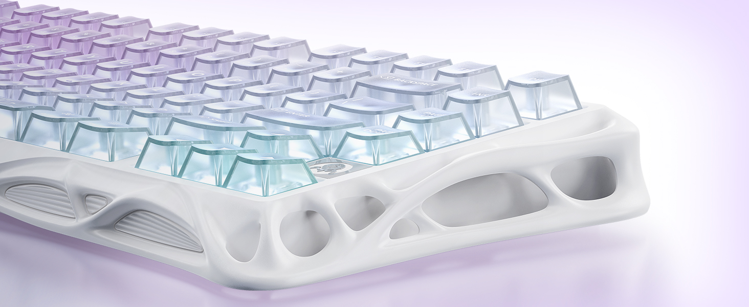 Bio-Inspired Elegance Meets Modern Innovation