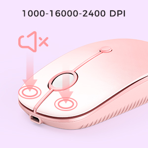type C mouse