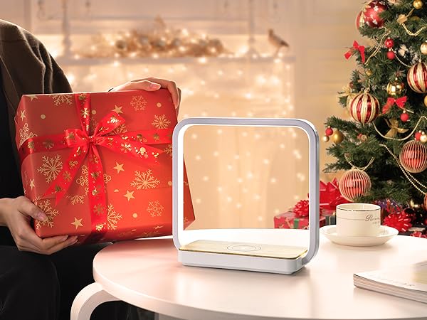 Christmas Gift
