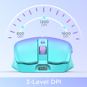 RAPIQUE R110 Bluetooth Mouse DPI