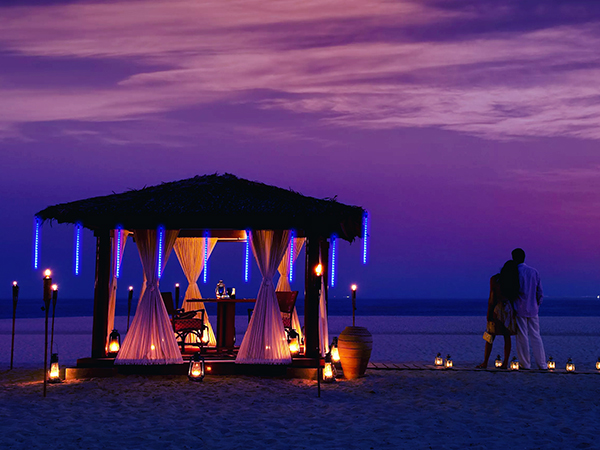 meteor shower lights outdoor