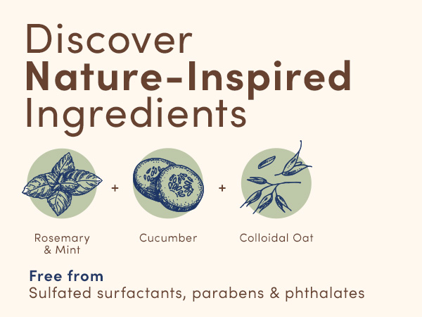 Nature inspired ingredients rosemary mint cucumber colloidal oat free of sulfated surfactants