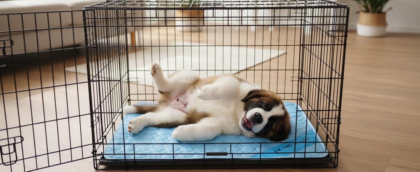 puppy dog lying on a cooling mat in a crate