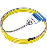 RamboCables 12 Strand LC Fiber Pigtail Single Mode, LC/UPC 12-Fiber OS2 Singlemode Pigtail,for Ne...