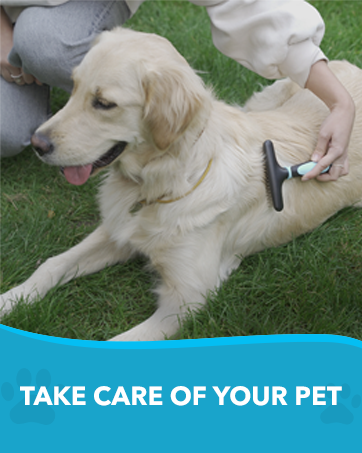 Dog rake, grooming rake, pet grooming, pet rake, undercoat rake for dogs