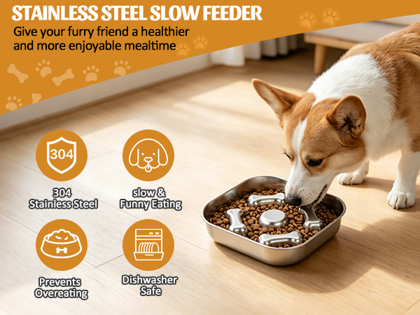 slow feeder