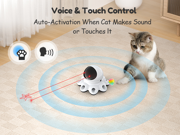 Indoor Cat Toys