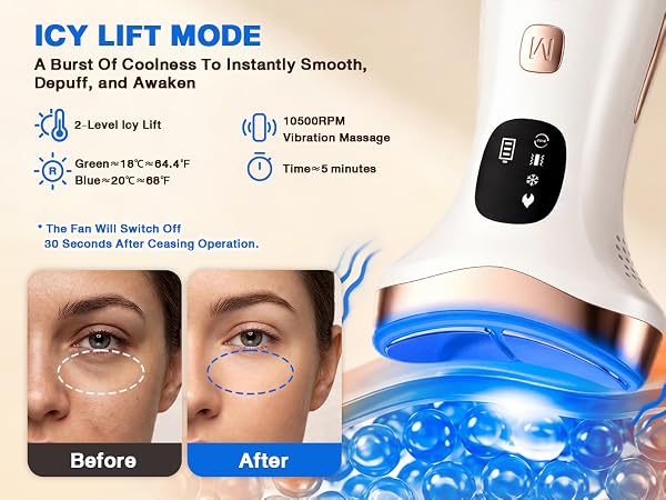 Face Beauty Device