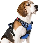 rabbitgoo Dog Harness Medium Sized, No Pull Pet Harness with 3 Buckles, Adjustable Soft Padded Ve...