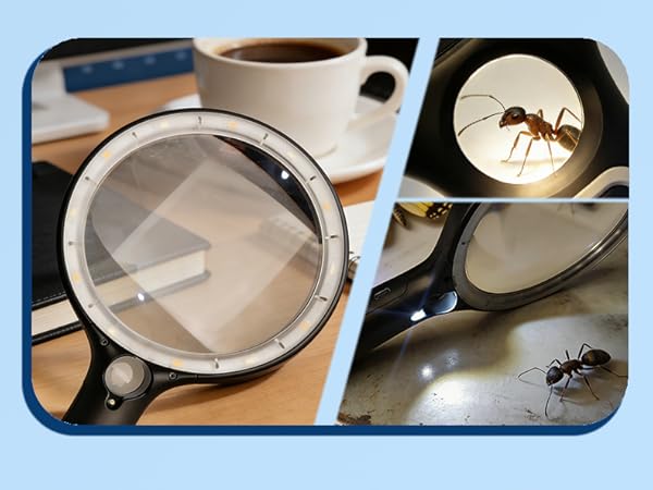 lighted magnifying glass