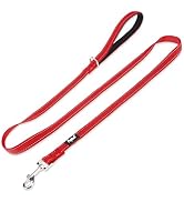 PUPTECK Reflective Dog Leash with Comfortable Padded Handle Durable Nylon Dog Lead for Small Medi...