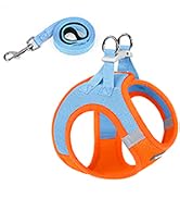 blue orange dog harness