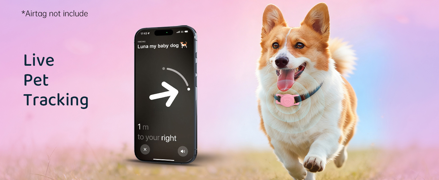 dog collar Airtag holder