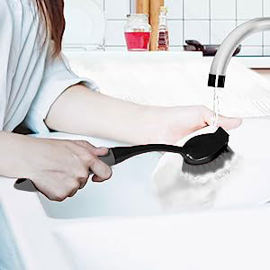 Dish Brush