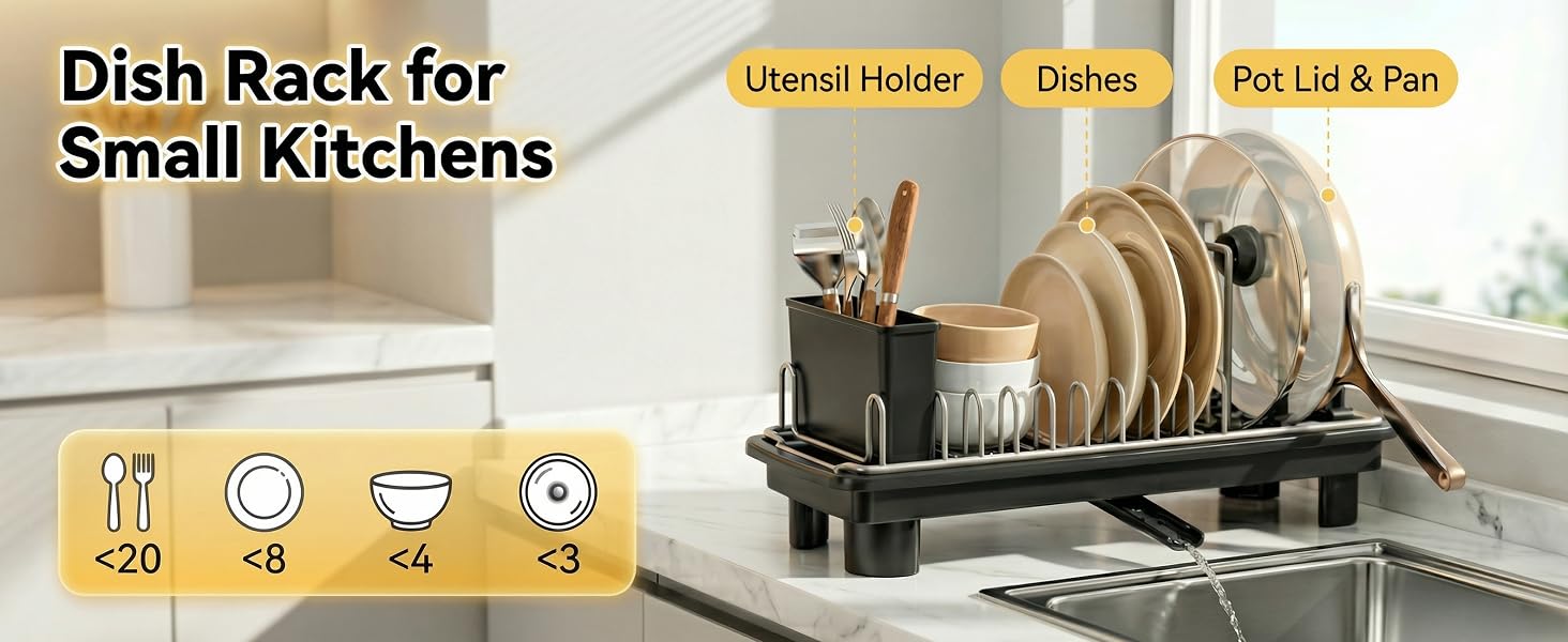 Dish Drainer for Sink