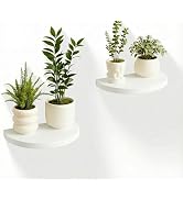 MITREL Small Wood Floating Shelves (2-Pack, 8-inch Diameter) - Round Sturdy Invisible Wall Mount ...