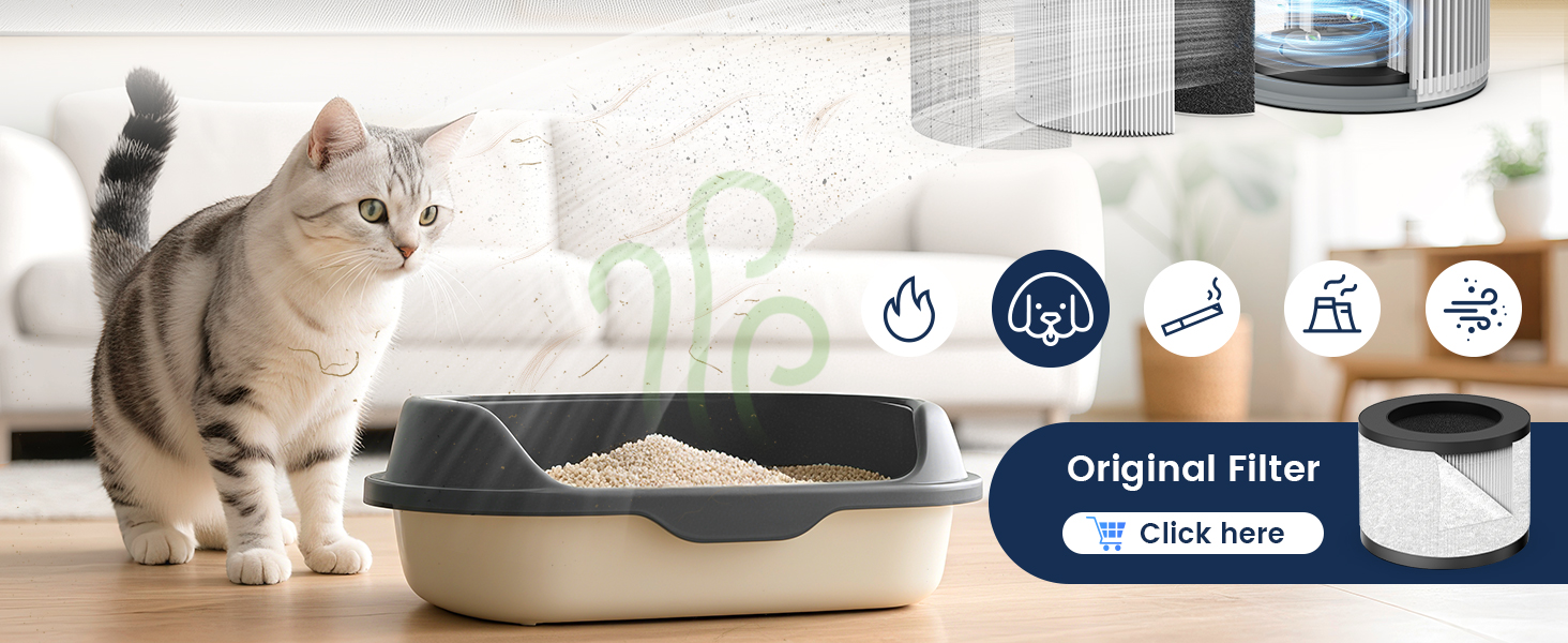 air purifier