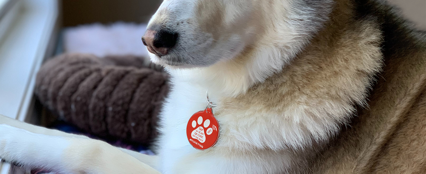 MYLUCKYTAG QR CODE NFC PETID TAGS