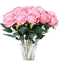 https://m.media-amazon.com/images/S/aplus-media-library-service-media/b39ca6fd-e60b-45d2-9121-5721cbfe7568.__AC_SR200,225___.jpg
