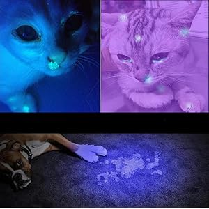 Pet Urine Detector