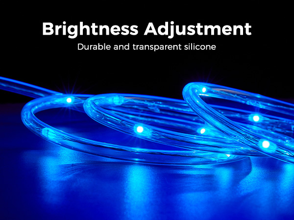 Dimmable Rope Lights