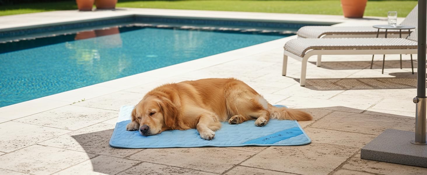 golden retriever lying resting outdoors by the pool on cooling mat