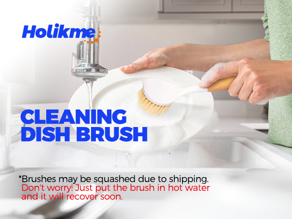dish brush