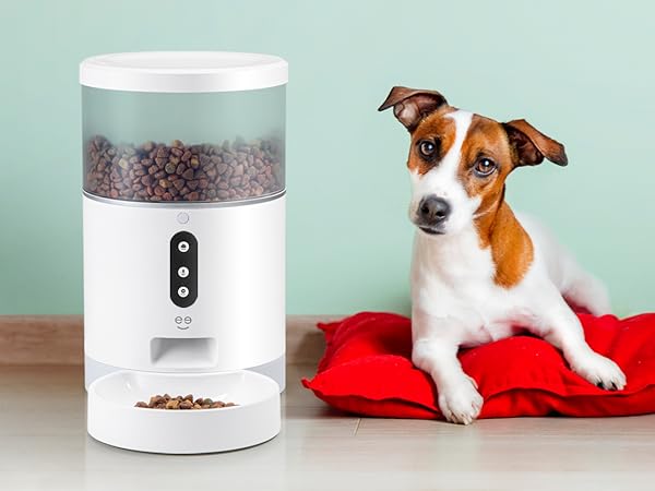 Electrical Outlet Switches Power Strips