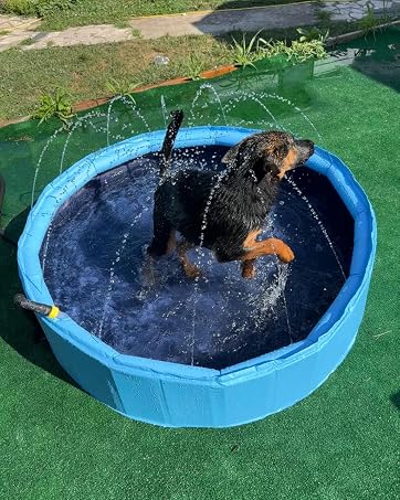 Foldable Dog Pool