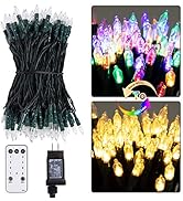 Dual Color LED Christmas Lights, 75 feet 200 LED Clear Mini String Lights with Remote, Color Chan...